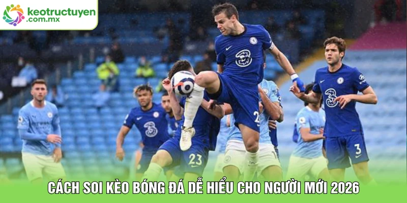 Cách Soi Kèo Bóng Đá Dễ Hiểu Cho Người Mới 2026