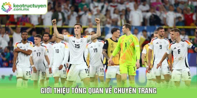 Giới thiệu tổng quan về chuyên trang