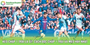 Kèo Chấp 1 Trái Là Gì? Cách Đọc Chấp 1 Trái Và Mẹo Hay Nhất