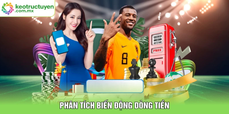 Phân tích biến động dòng tiền