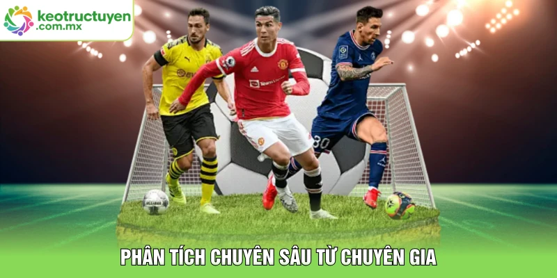 Phân tích chuyên sâu từ chuyên gia