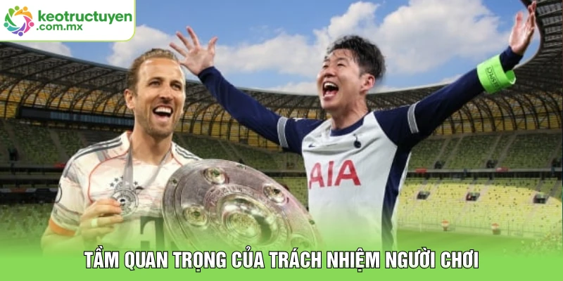 Tầm quan trọng của trách nhiệm người chơi